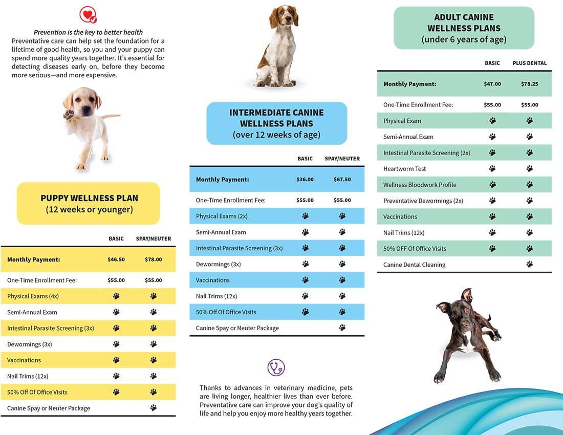 Canine Wellness Plans